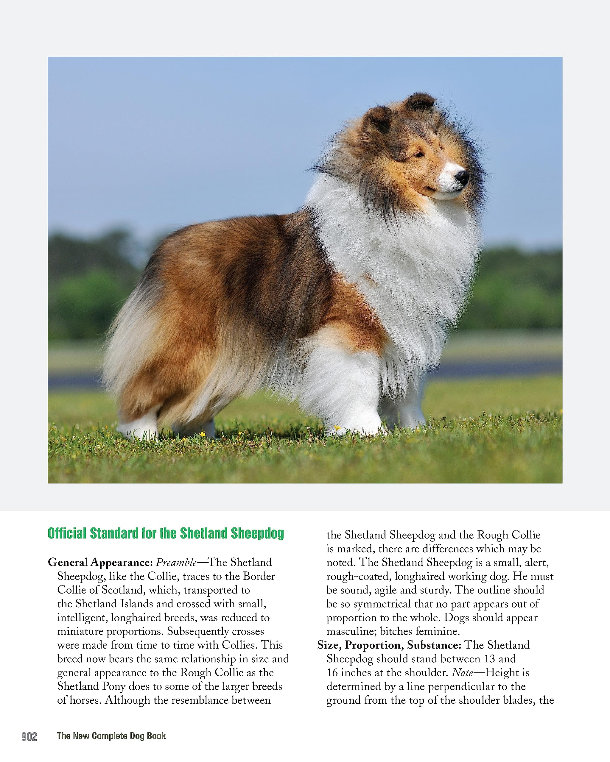 Amazon.co.jp: The American Kennel Club The American Kennel Club